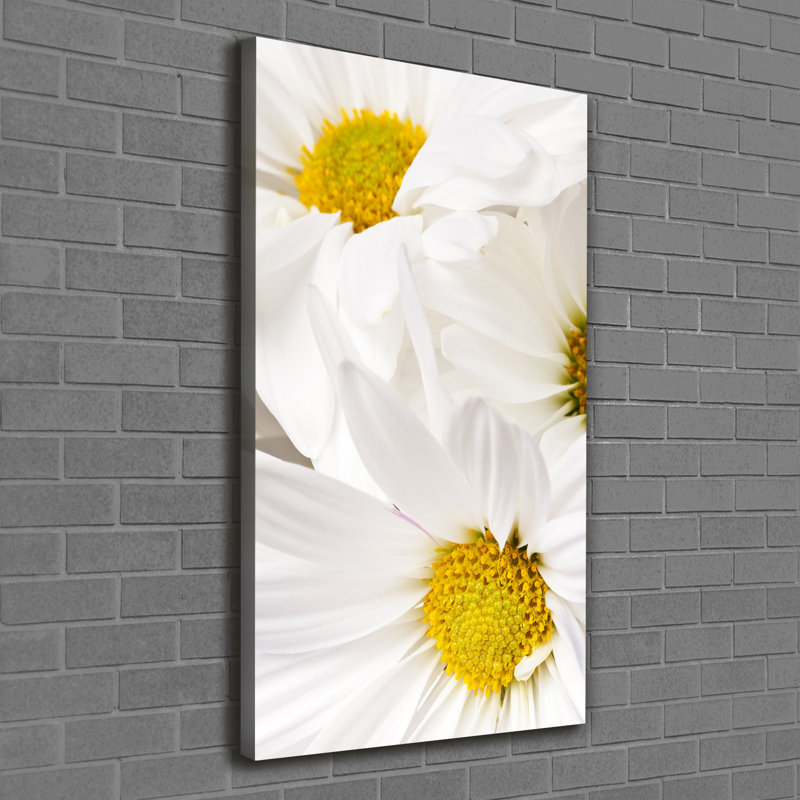 Daisies - Wrapped Canvas Print