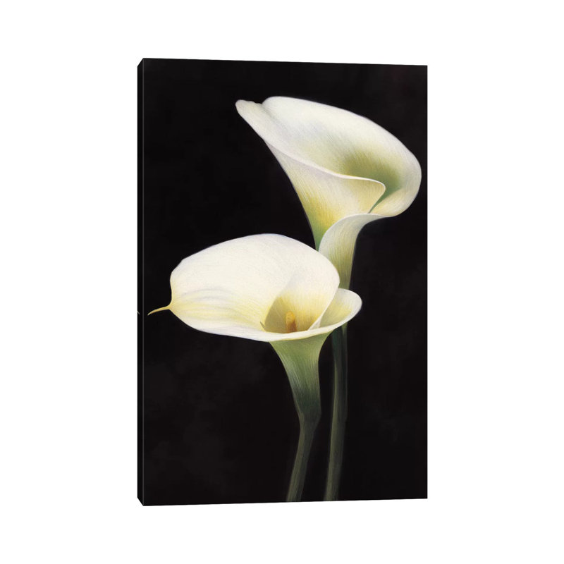 Calle by Andrea Trivelli - Wrapped Canvas Print