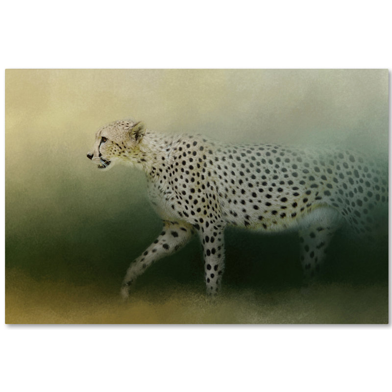 Vidur «Cheetah on the Prowl», impression sur toile tendue, H 12 po x l 19 po