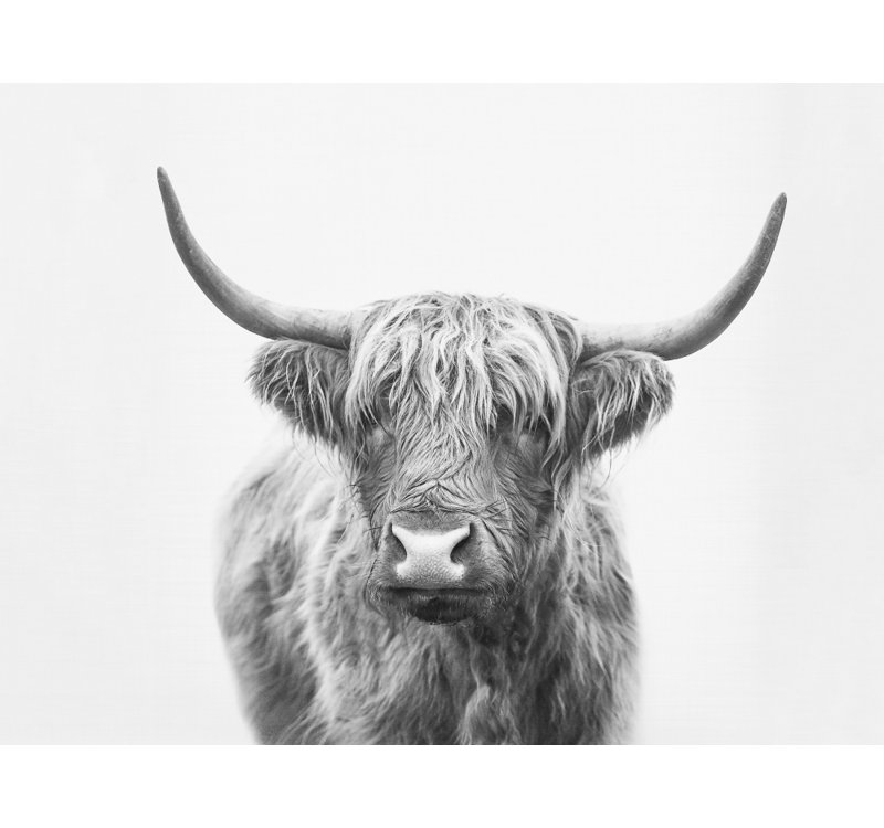 1 Piece Wrapped Canvas Wall Art, 81.28cm H x 121.92cm W