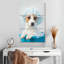 Ketti terrier au bain bleu-108539804