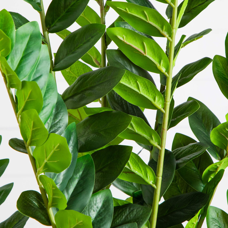 Artificial Zamioculcas Plant, 60" H x 16" W x 16" D