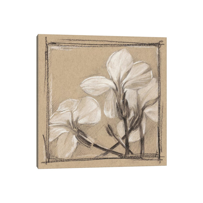 White Floral Study IV by Ethan Harper - Wrapped Canvas Gallery-Wrapped Canvas Giclée, 93.98cm H x 93.98cm W
