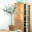 Faux Olive Tree Tree in Pot