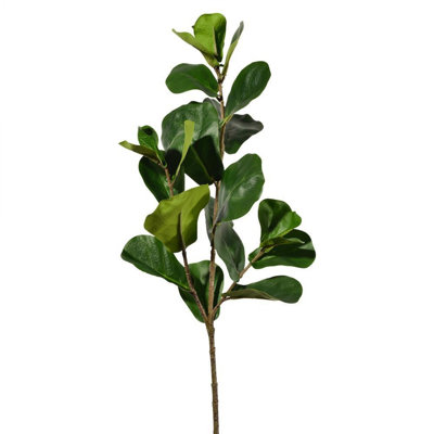 Feuille de violon