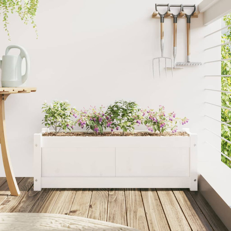 Wooden Kogut Flower Box, White, 12.20" H x 35.43" W x 12.20" D, 1