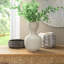 Beira 11.5'' Stoneware Table Vase