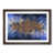 Walnut Framed