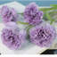 6 œillets fleurs artificielles avec tiges-388998682