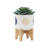 S/2 5/8" Funky Planter W/ Stand
