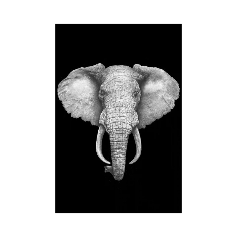 «The Elephant on Black» par Valeriya Korenkova - impression sur toile tendue, H 60 po x l 40po x P 1,5 po