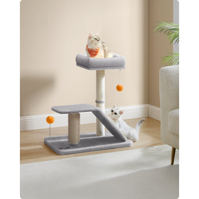 Scratching Post