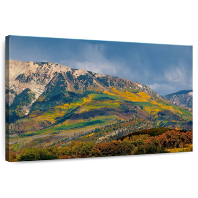 Alvord, montagne et arbres