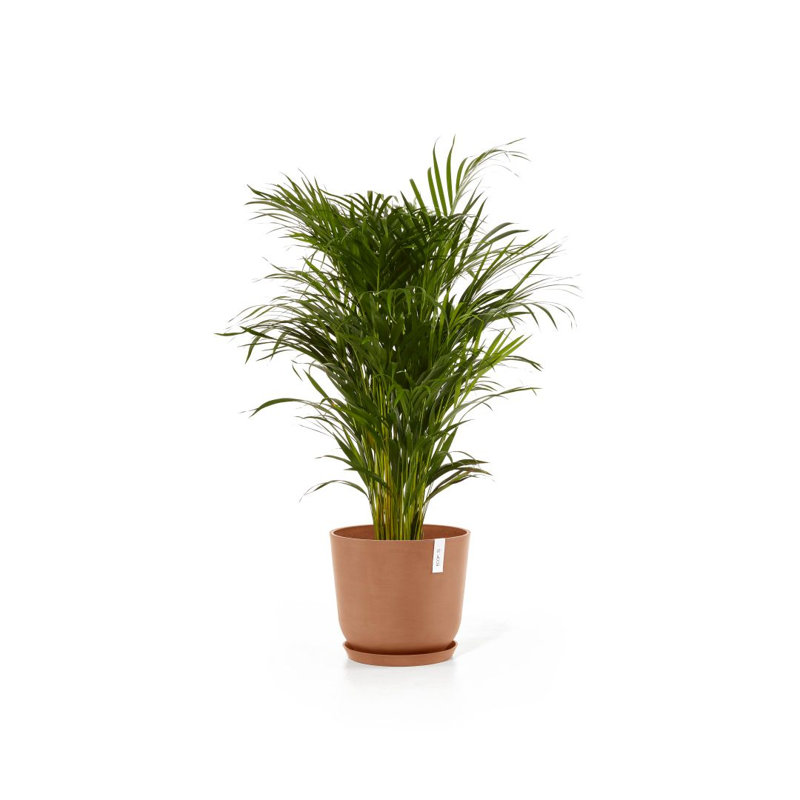 Jardinières en pot, H 13,78 po x l 13,78 po x P 12,01 po, Terre cuite