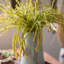 Tige de sarracenia artificielle-31073306