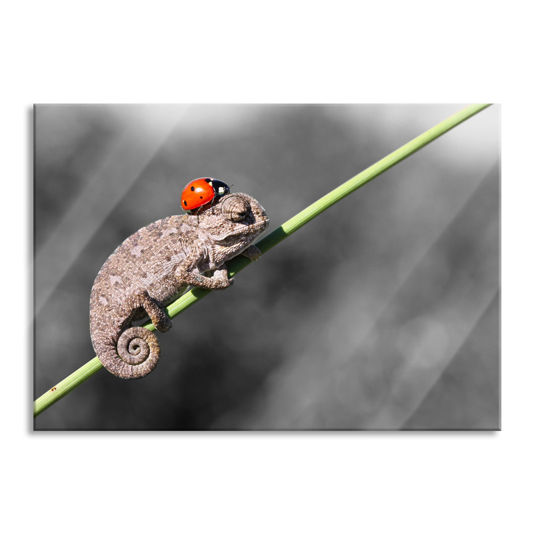 Ungerahmtes Foto auf Glas "Süßer Gecko mit Marienkäfer"