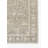 Oriental Indoor Rug-871409202