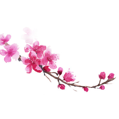 Branch Of Cherry Blossom - Wrapped Canvas Painting