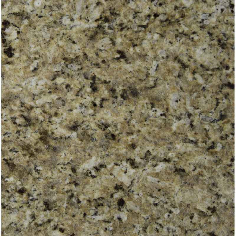 12 in. x 12 in Polished Natural Stone Floor and Wall Tile, Caserta Oro