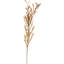 Mulberry Brown Dried Flower Bunch-119034009-119034008