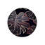 Tapis décoratif à base tissée Black Leaf-225528365