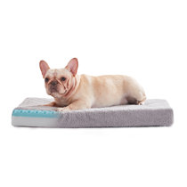 Premium Shredded Memory Foam for Dog Bed or Couch Cushion - China Shredded  Memory Foam and 2.5 Lbs Shredded Foam price