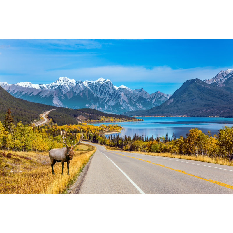 Farish Red Deer - Wrapped Canvas Print, 20cm H x 30cm W x 3.8cm D