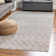 Barnkine Geometric Indoor Rug