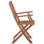 Bothel Patio Dining Armchair with Cushion