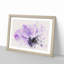 Purple Anemone Flower - Framed Print-56892378-56892384