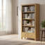 Censu Balyor Painted Oak Large Bookcase