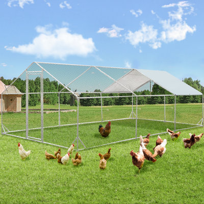 Derward 200 pieds carrés pour 8 poulets Derward