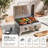 Costway 2 - Burner Gas Grill