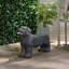 MGO DOG BENCH, Outdoor Bench, Matte Black + Black, No Assembly Required-1583053609