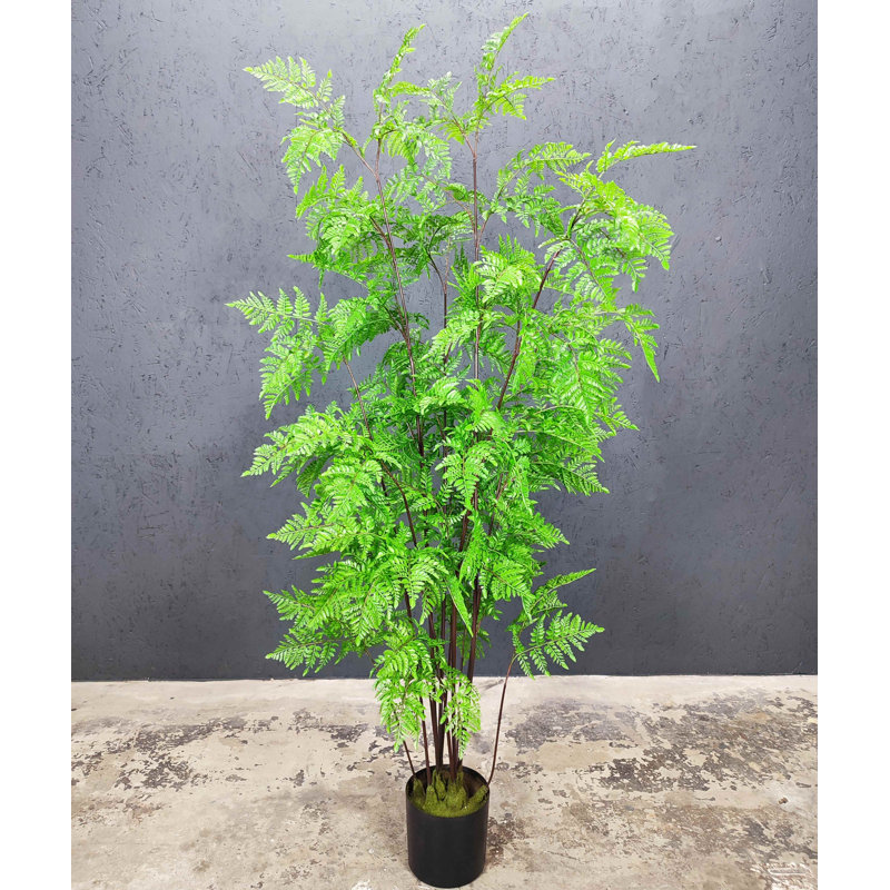 Fougère artificielle artificielle, H 74 po x l 31 po x P 31 po