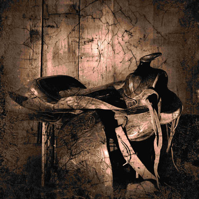 " Cowboy Saddle 2 "