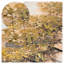 Automne, art mural sur toile orné de feuilles d'or - 24 x 36 pouces, peinture abstraite encadrée avec pierres intégrées pour le salon et la chambre à coucher