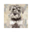 Miniature Schnauzer by Marie-Anne Stas - Wrapped Canvas Painting-173586959