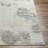 Fran Abstract Gray Area Rug-921843254