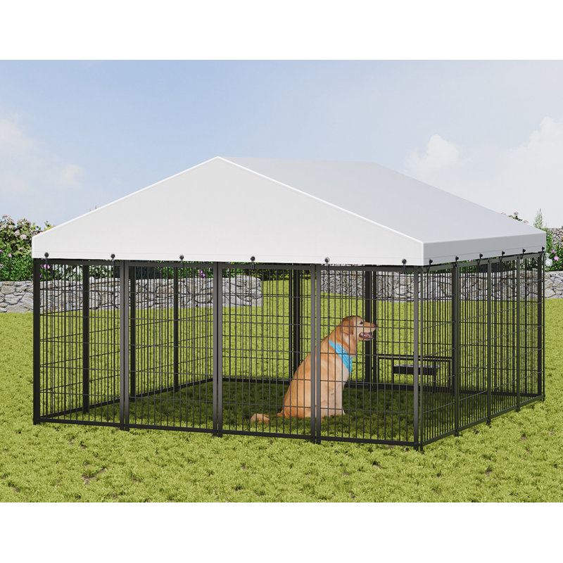 Métal, cage, clôture, grand chenil, enclos pour animaux