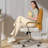 Home Office Desk Chair, Swivel Computer Desk Chair with Wheels and  Arms, Adjustable Height and Tilt-2046349361
