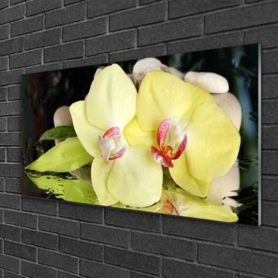 Floral Petal - No Frame Print on Glass