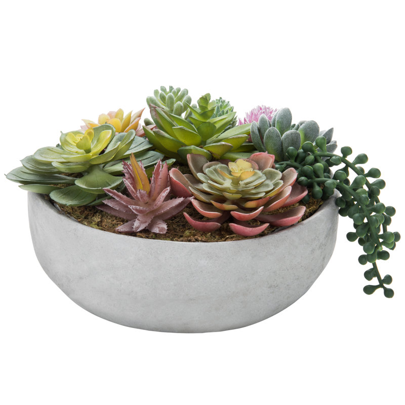 Plante grasse artificielle en pot 4,8 po