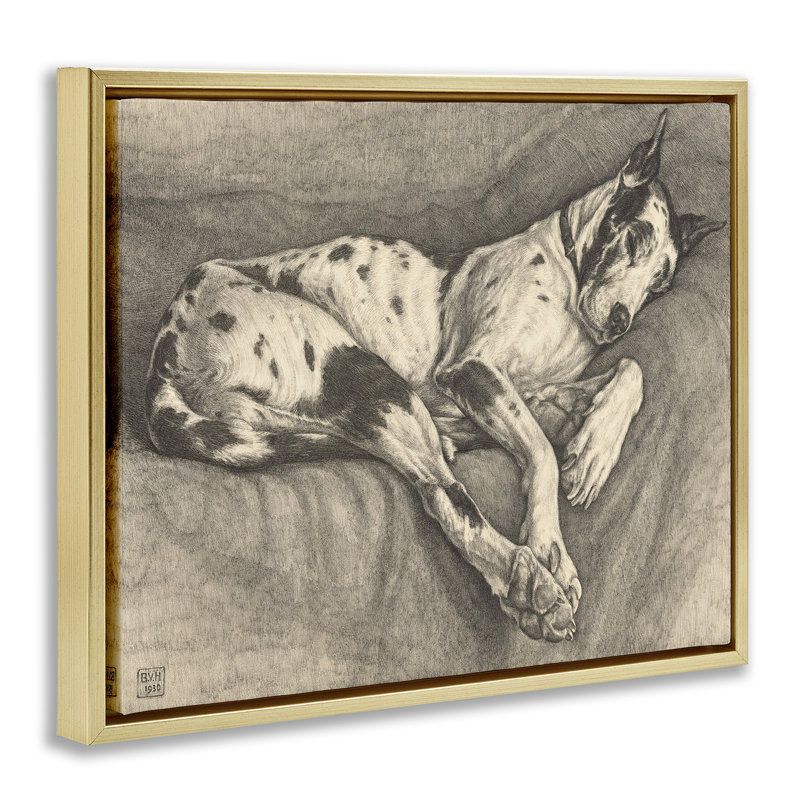 Sleeping Hound Drawing Floating Frame, design by Bertha Van Hasselt, 25" H x 31" W, Metallic Gold Floater Framed