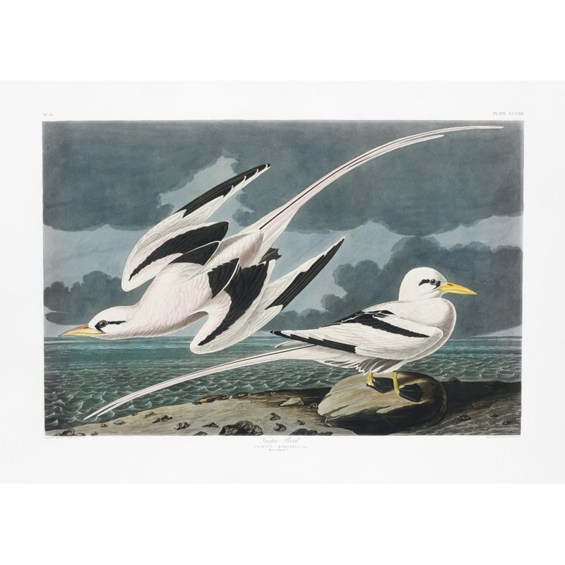 Wrapped Canvas Print, 50.8 cm H x 76.2 cm W