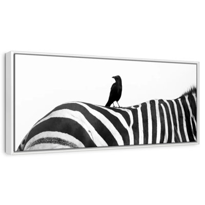 Crow On Zebra