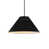 Lustre noir