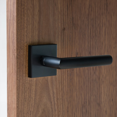 Single Dummy Door Lever