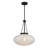 Willow 1-Light Pendant in Matte Black-756342831