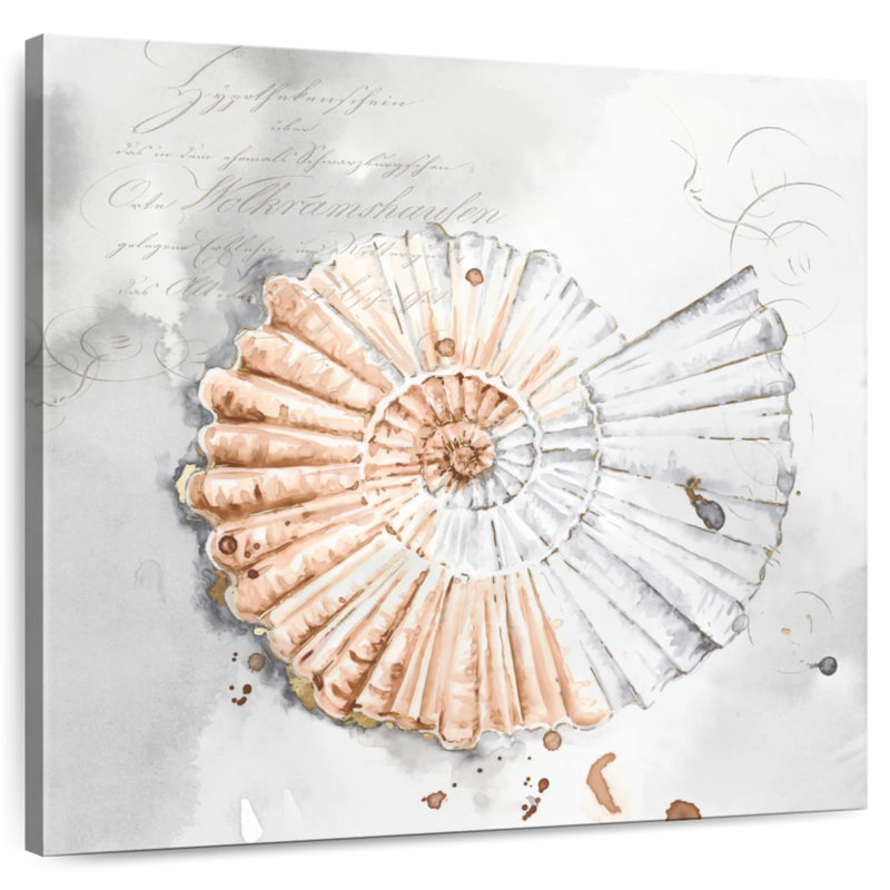 Aletra Blush Shell II, 24" H x 24" W